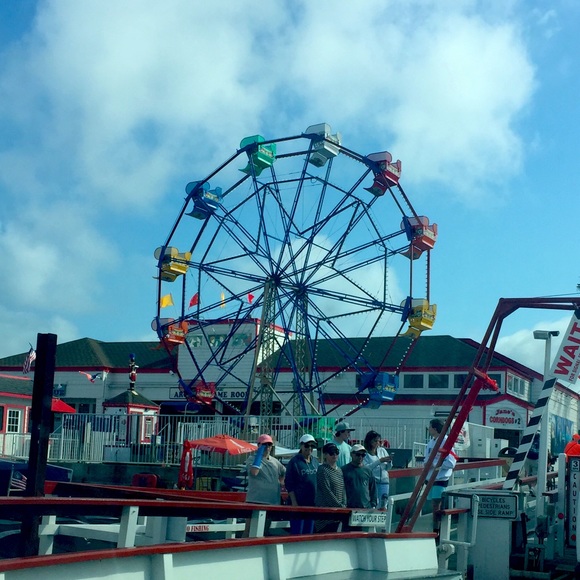 Meet your Posher, Trevor - Picture 2 of 3